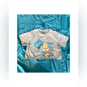 Cropped Grey Aladdin Top